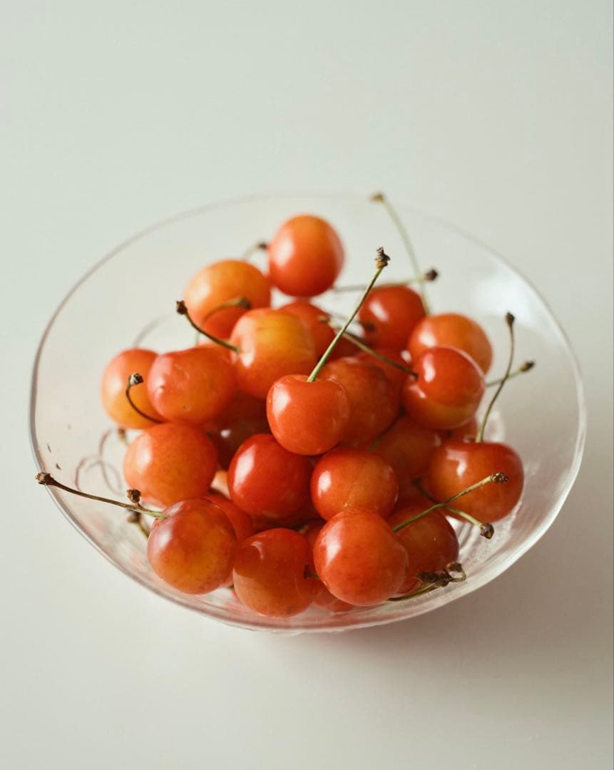 ペンタックス Pentax 67 Macro 100mm GFX 濱田英明 F4