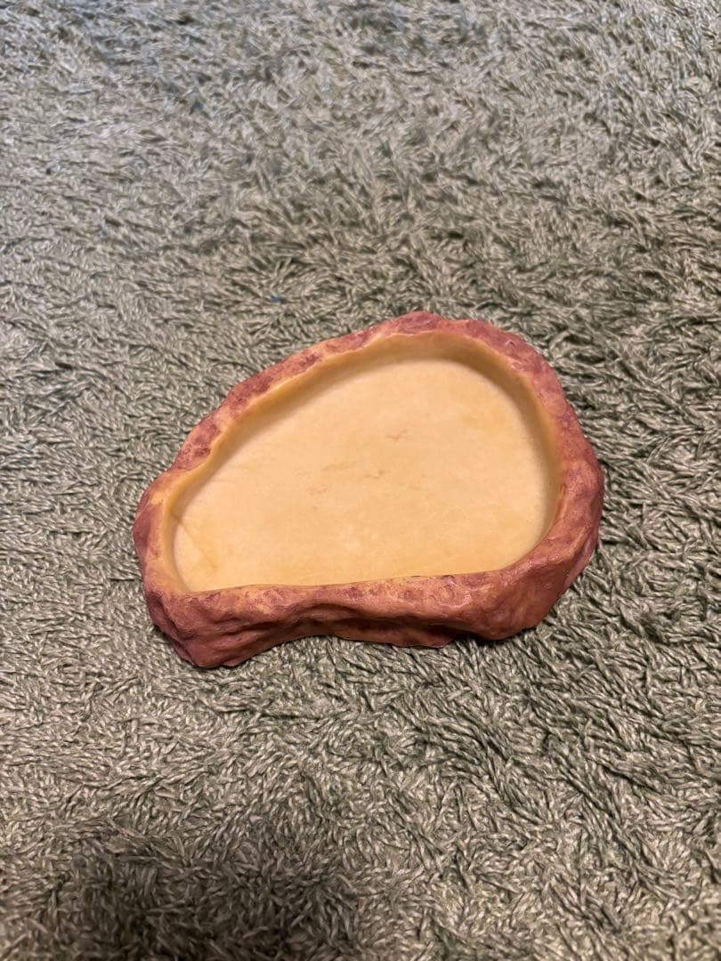 GEX ジェックス グラステラリウム4530 飼育セット