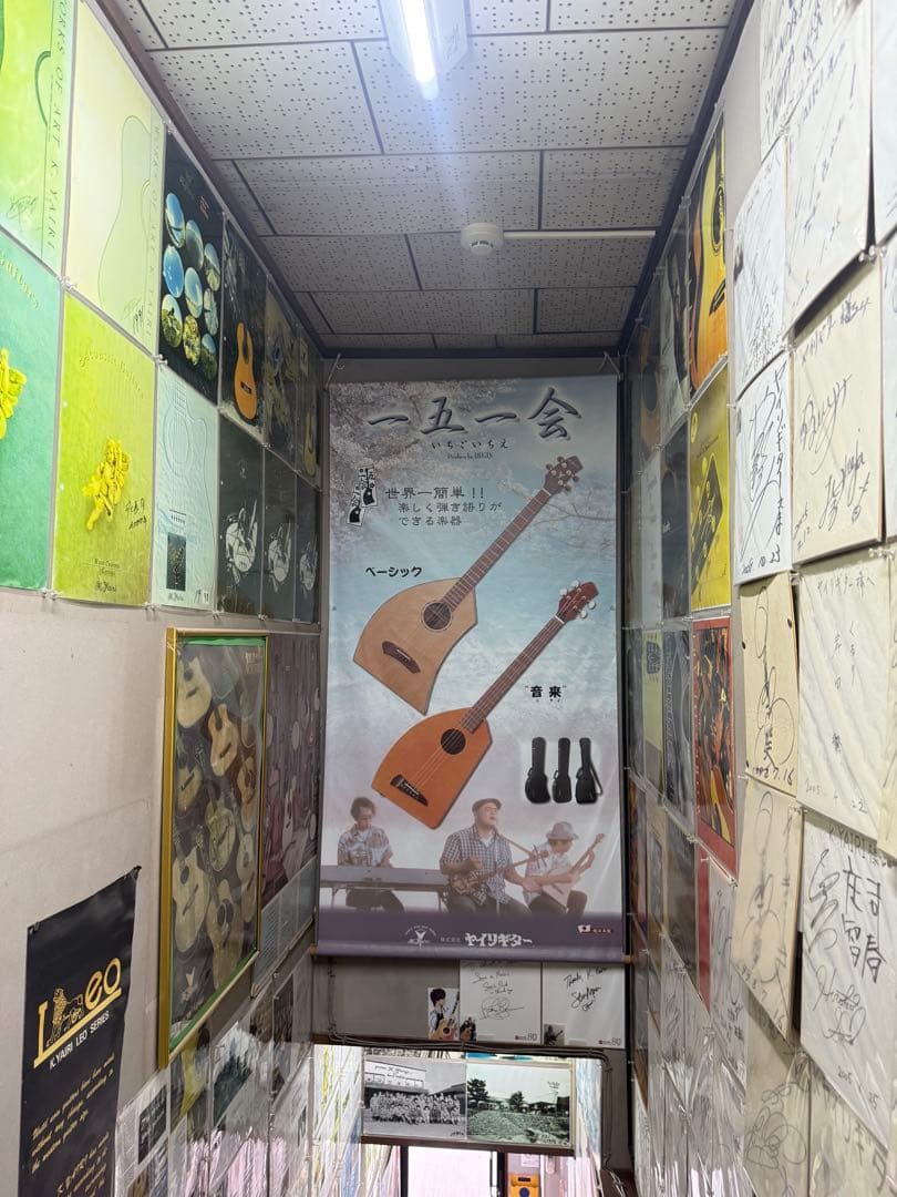 K.Seven アコースティックギター YW-300