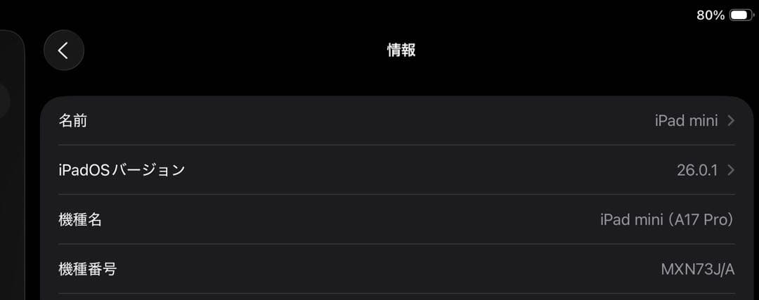 iPad mini 7 A17Pro 128GB Wi-Fiモデル　ブルー