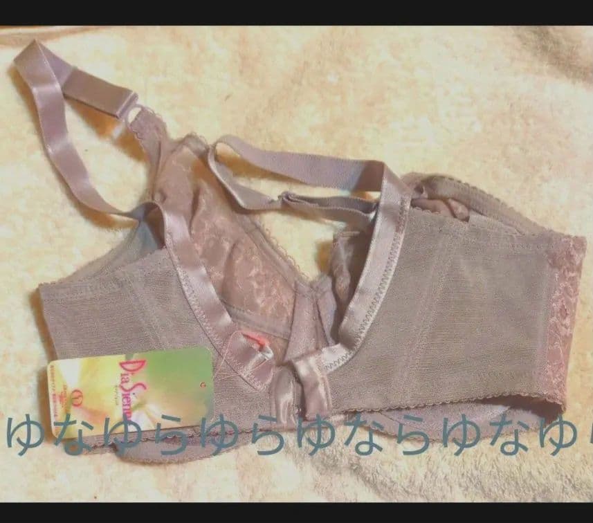 専用です！2枚のお値段です❗️ダイアナブラジャーｆ65