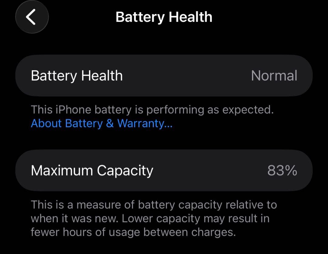 Apple iPhone 15 Pro MAX 1TB シルバー 本体