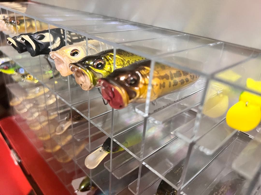 メガバス　アサイラム&ルアーセット