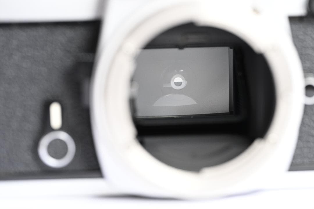 Nikon FE + Nikon SB-E フラッシュ