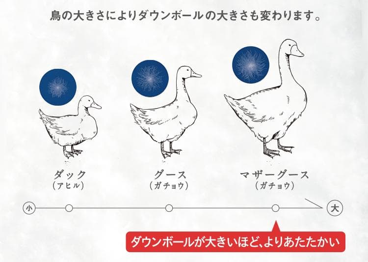 【新品】西川 羽毛掛けふとん シングル ゴールド／台湾産グースダウン90%