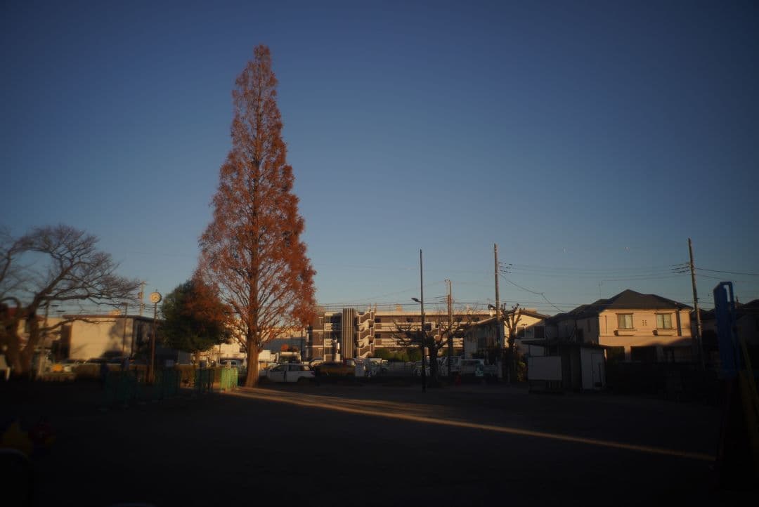 レンズ(単焦点) 062_P.Angenieux 28/3.5 (Exacta mount)