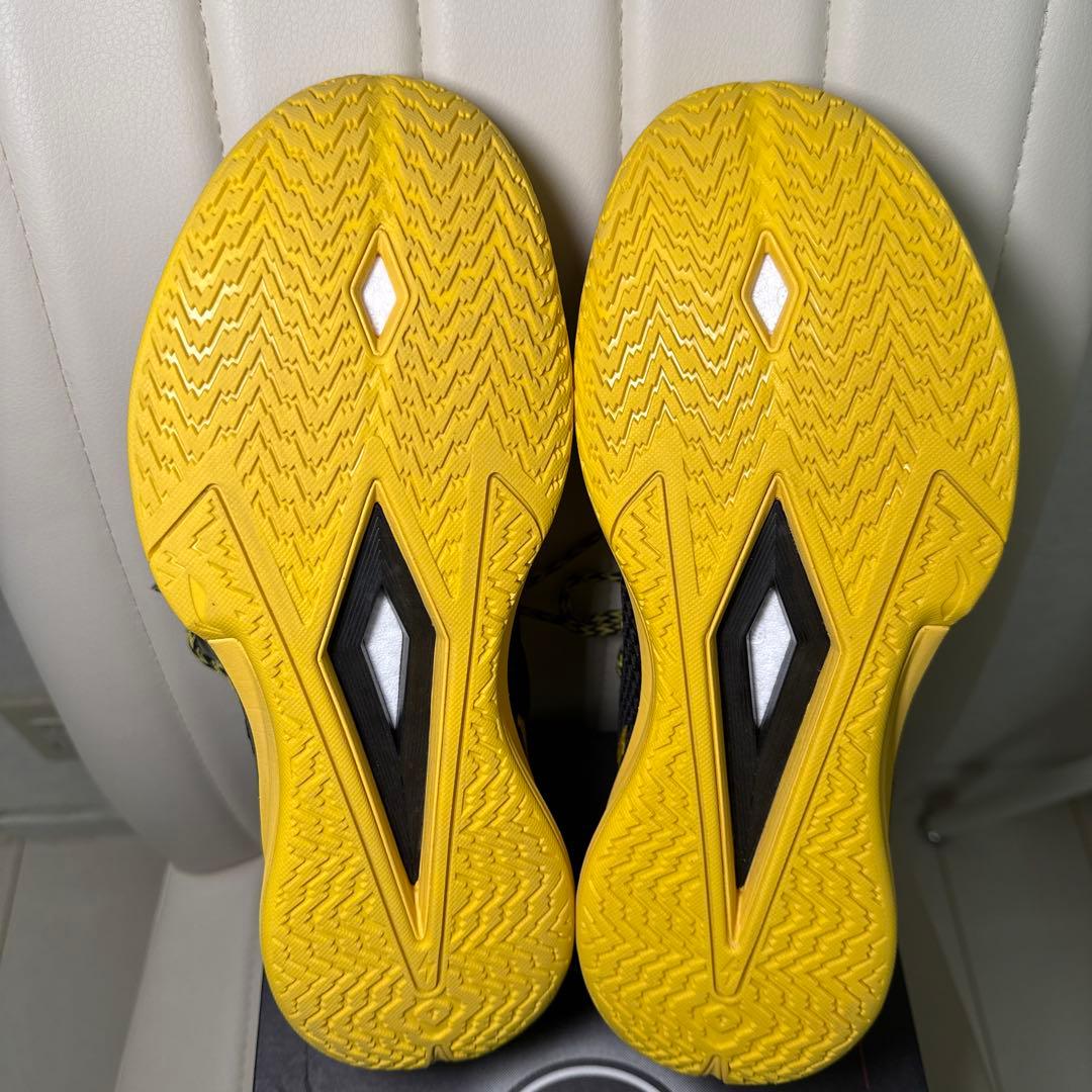 【1回2時間のみ使用】WADE FLASH 2 US11