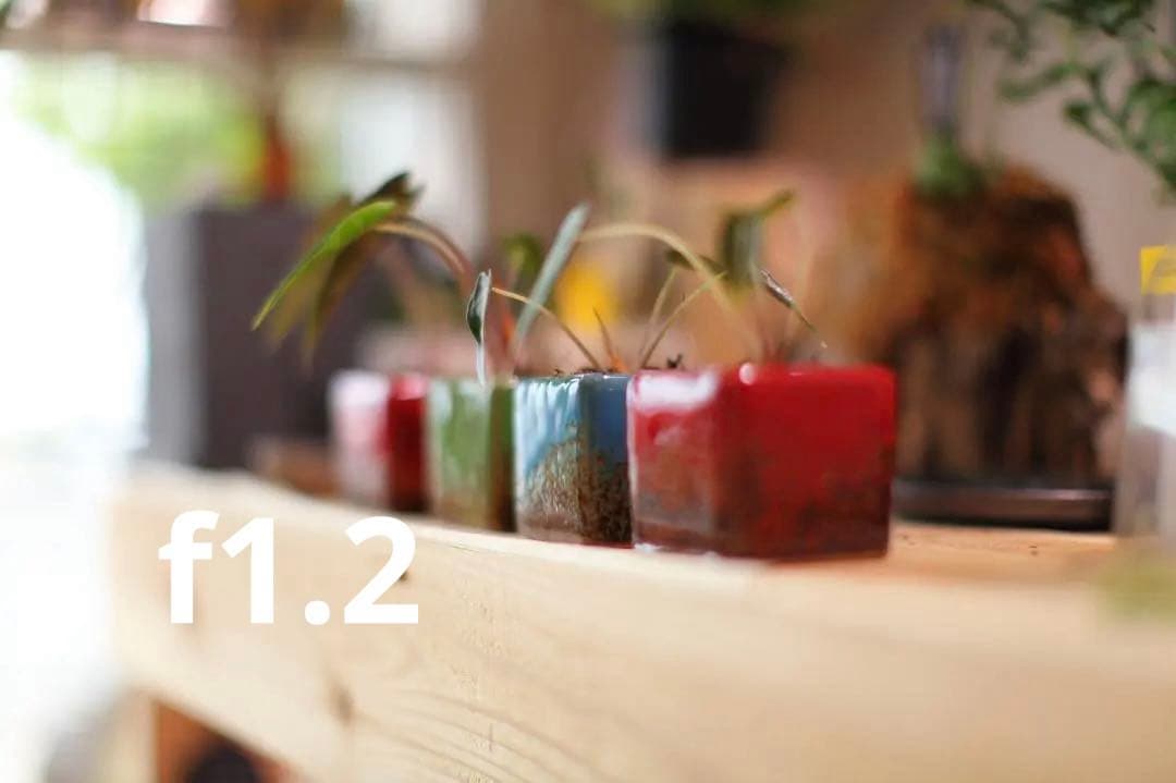 CANON EF 50mm f/1.2L USM 単焦点レンズ