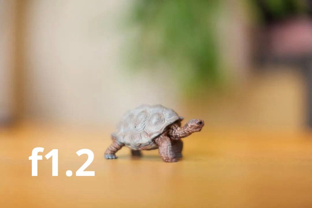 CANON EF 50mm f/1.2L USM 単焦点レンズ