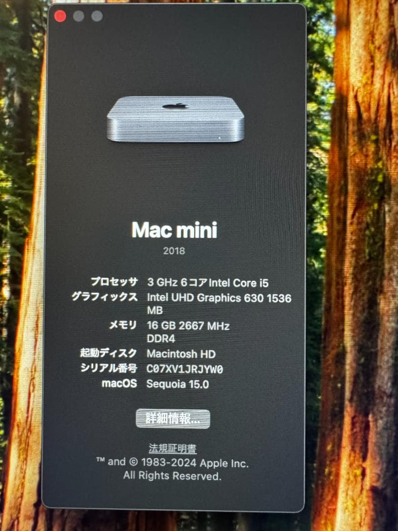 Macデスクトップ Apple Mac mini 2018 Intel /16GB/512GB