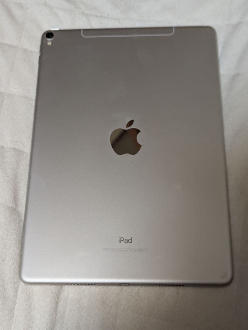 Apple iPad Pro 10.5インチ 256GBオオタ