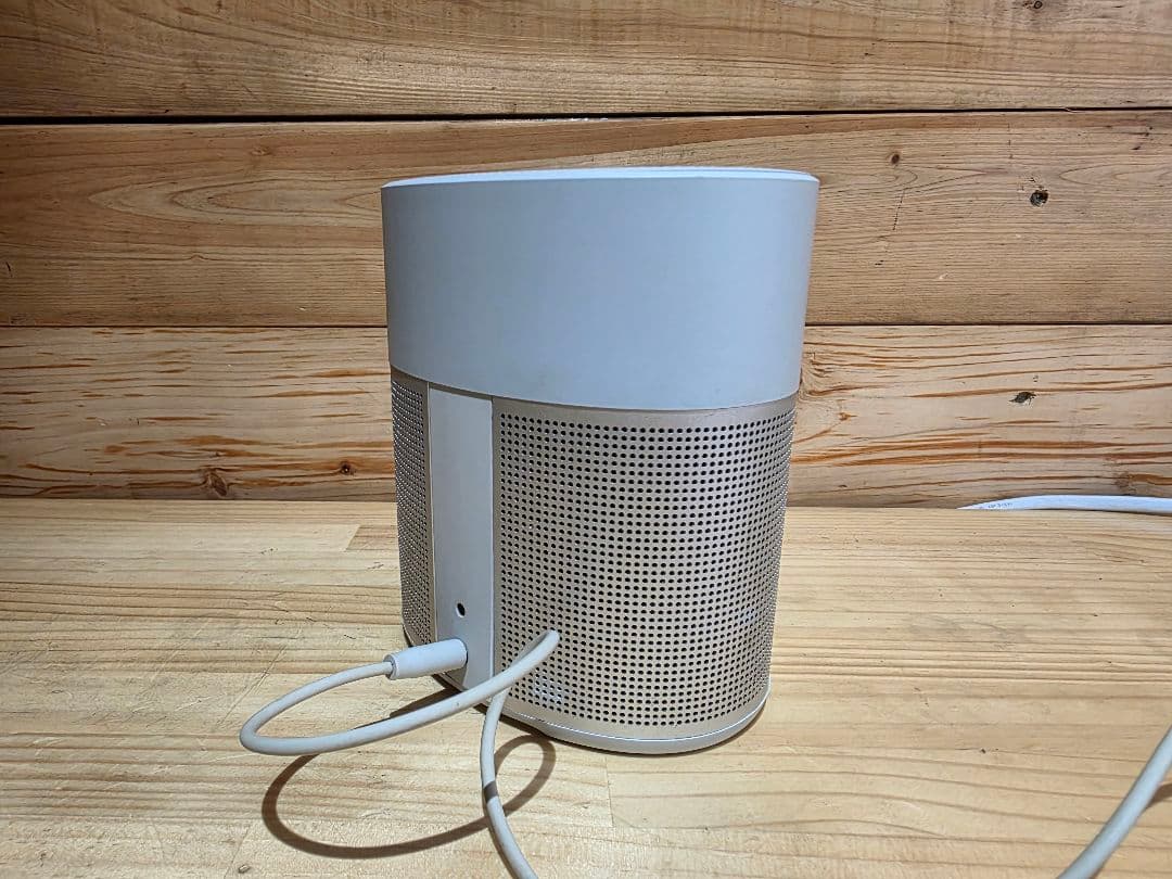 スピーカー・ウーファー Bose  speaker 300 SINGLE LUX SLV