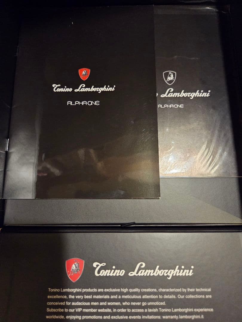 【美品】トニーノランボルギーニ　アルファワンALPHA ONE 美顔器