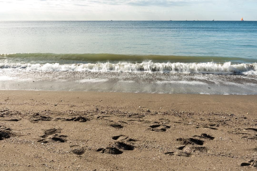 美品！SONY A7M4ボディー