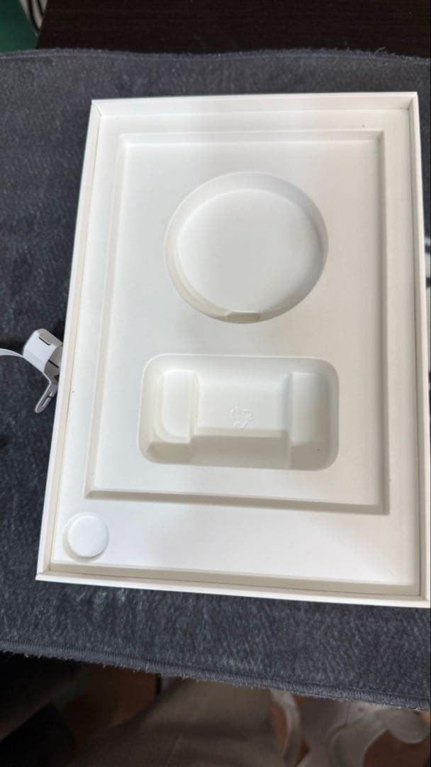 ジャンク　使用可能iPad mini6 256g +Apple Pencil2