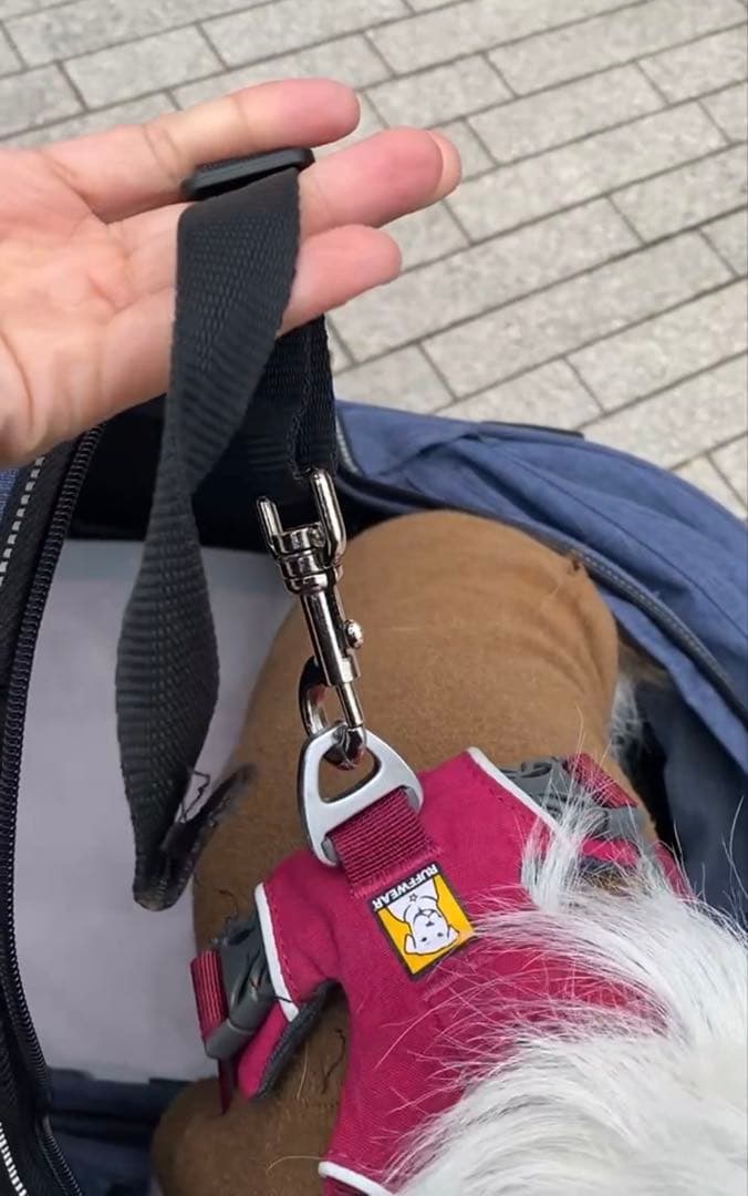 AIRBUGGY DOME2 SMサイズ ※空気入れなし