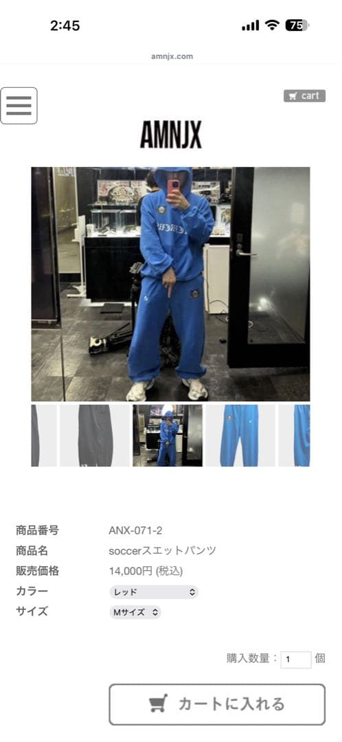 AMNJX セットアップ