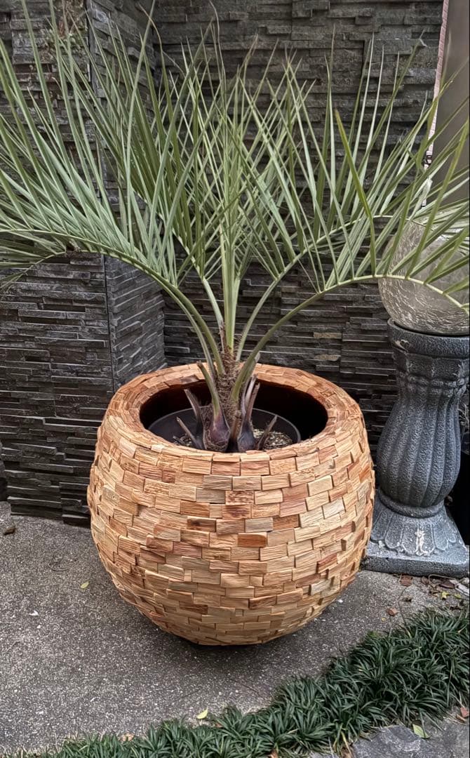 大型　モザイクウッドポット 鉢カバー 43 ×45cm