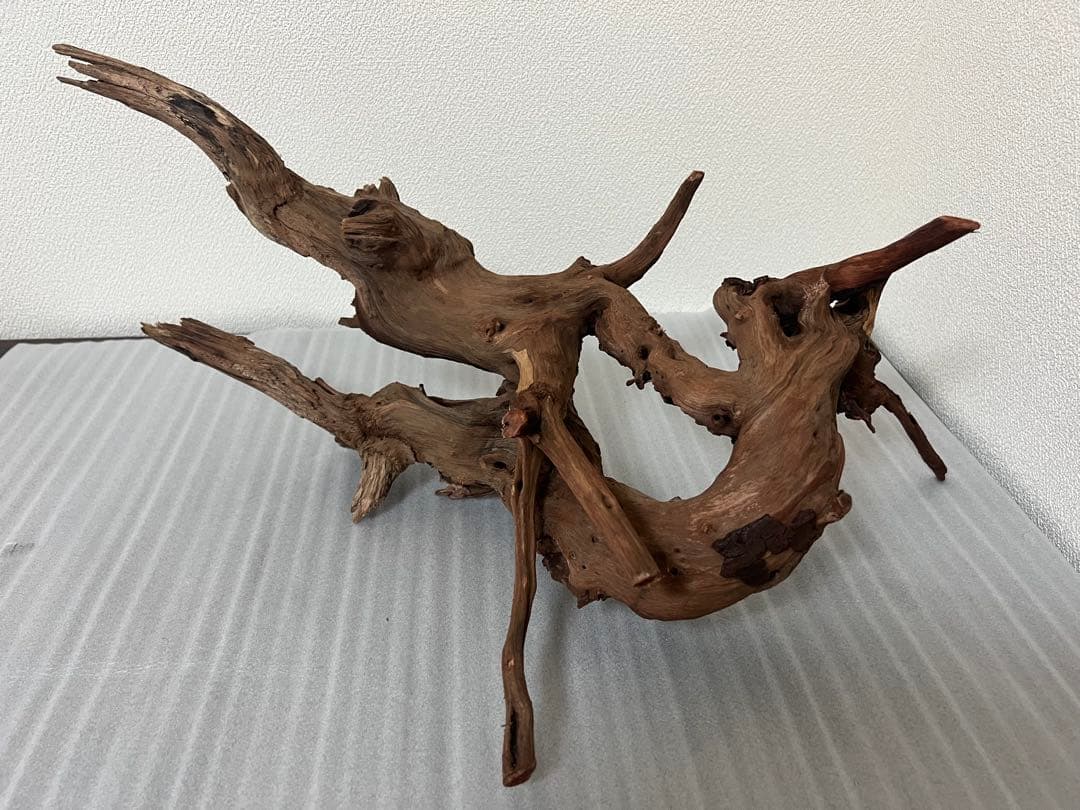 HX-076流木　ホーンウッド　マシンガンウッド　アクアリウム　ブランチウッド