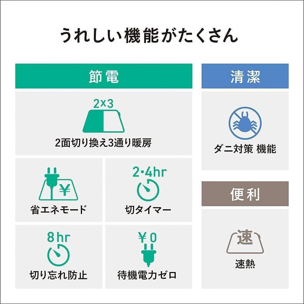 ②新品未使用品 パナソニック DC-3NK ホットカーペット ヒーター本体 3畳