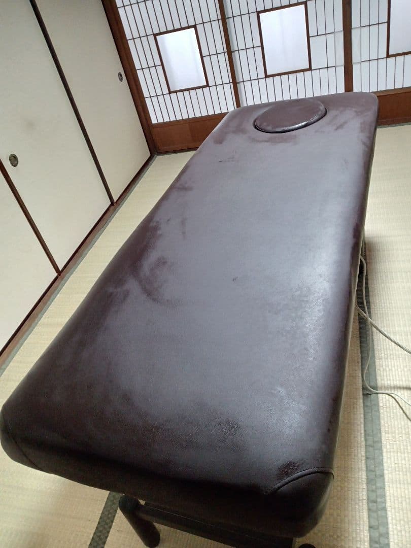 ネチュラ　Electric flat memory FV223 電動昇降ベッド