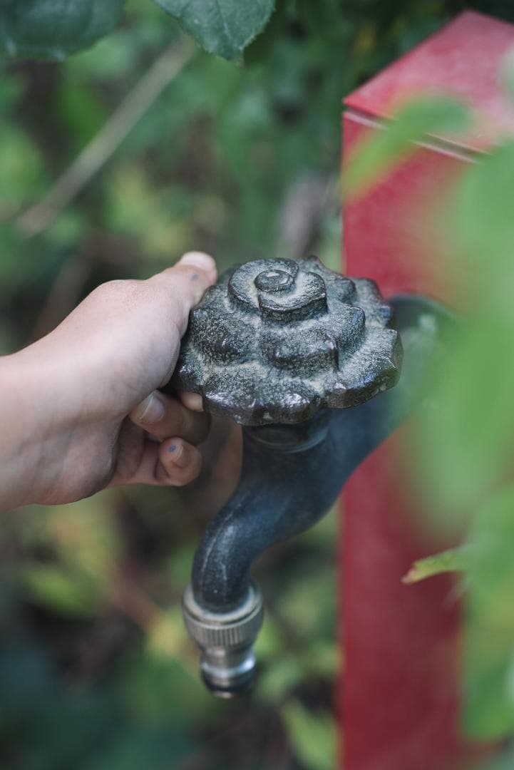 日独融合！鮮やかな中望遠 Leica Elmar-c 90mm F4 Mマウント