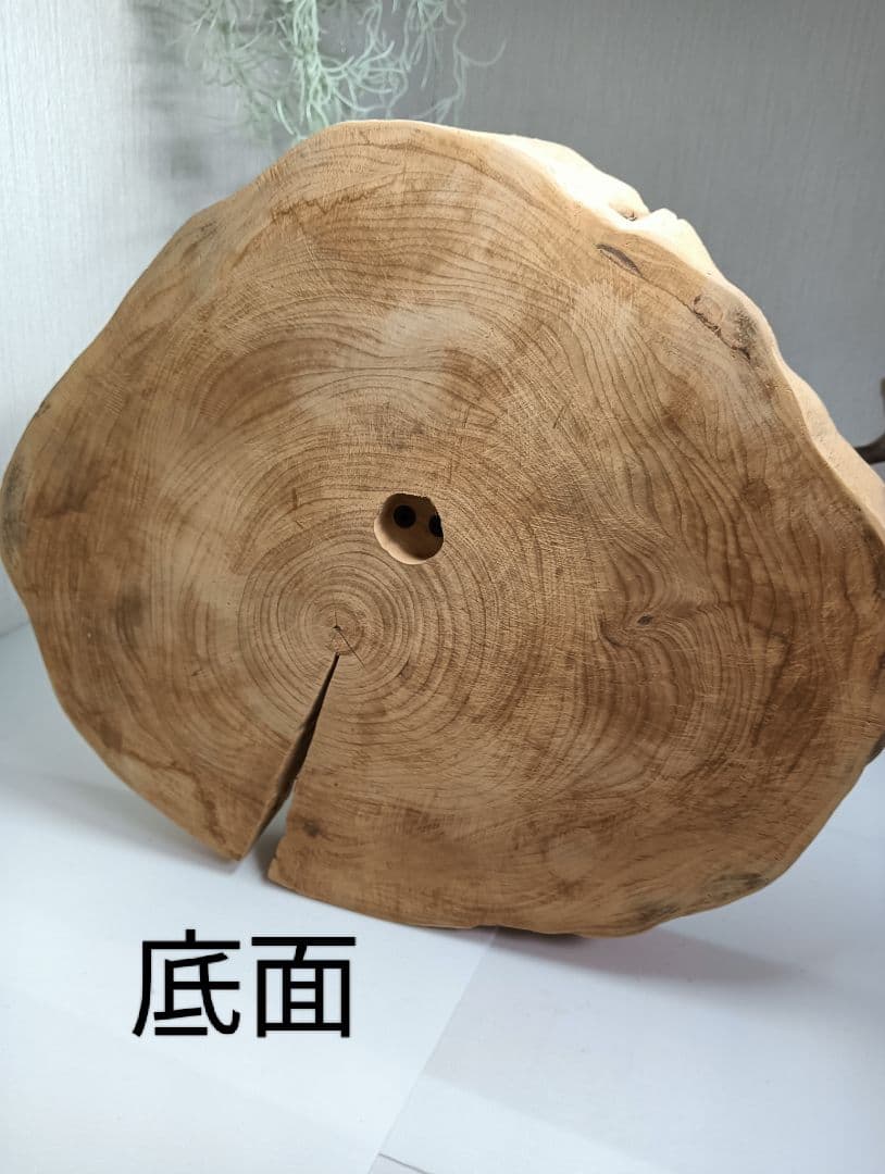 流木527　小鳥止まり木　卓上　バードアスレチック