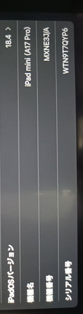 iPad mini第7世代256GB Wi-Fi 国内版　パープル