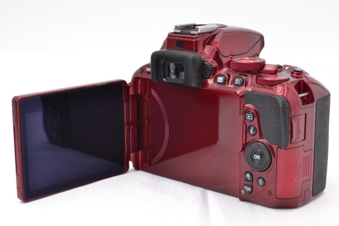 ニコン　Nikon D5500 希少RED ダブルズーム カメラバッグ付