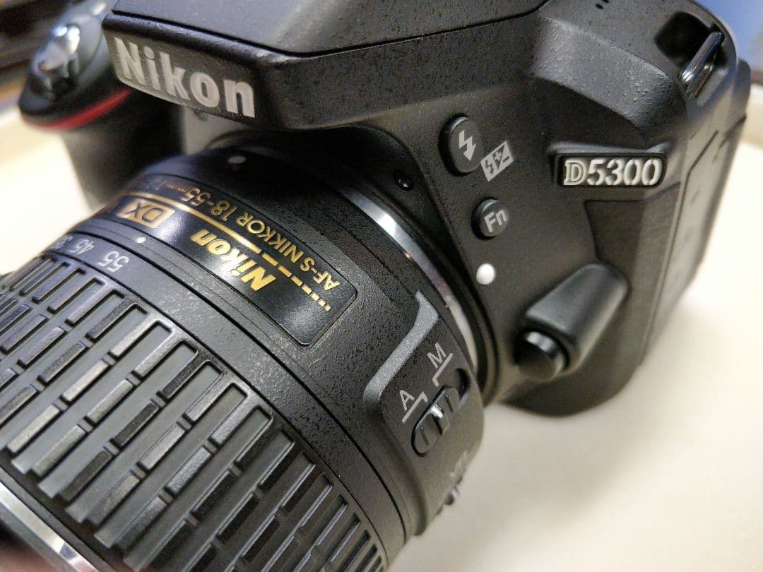 Nikon D5300　デジタル一眼レフカメラ　他レンズ