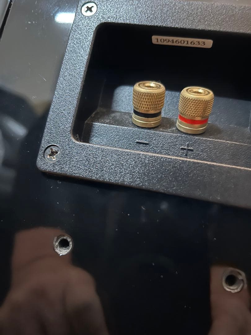 スピーカー・ウーファー DENON SC-A55SG