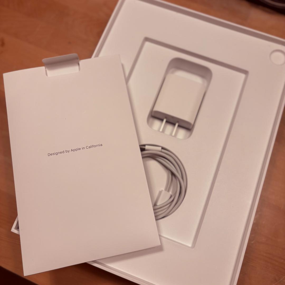 iPad Pro 11 第1世代 64GB A1980