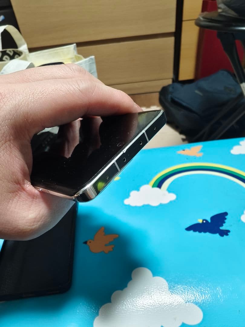 Xiaomi 13 Pro 12GB/256GB中国版