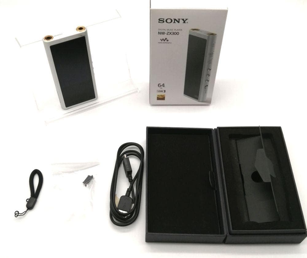 NW-ZX300 SM シルバー