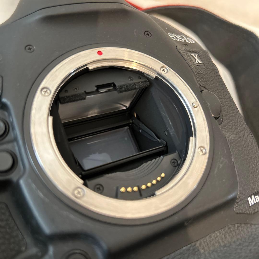 CANON EOS-1DX MarkⅡ　不動