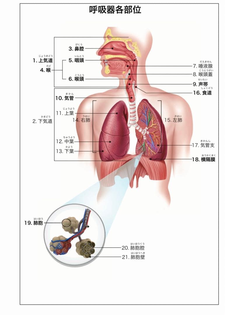 水素ガス＆水素水生成器のトップメーカーの製品です。