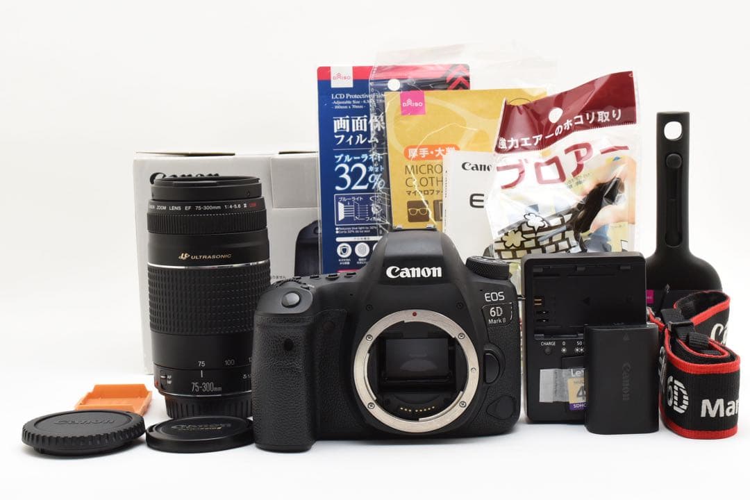 Canon EOS 6D Mark II レンズセット/Canon 75-300