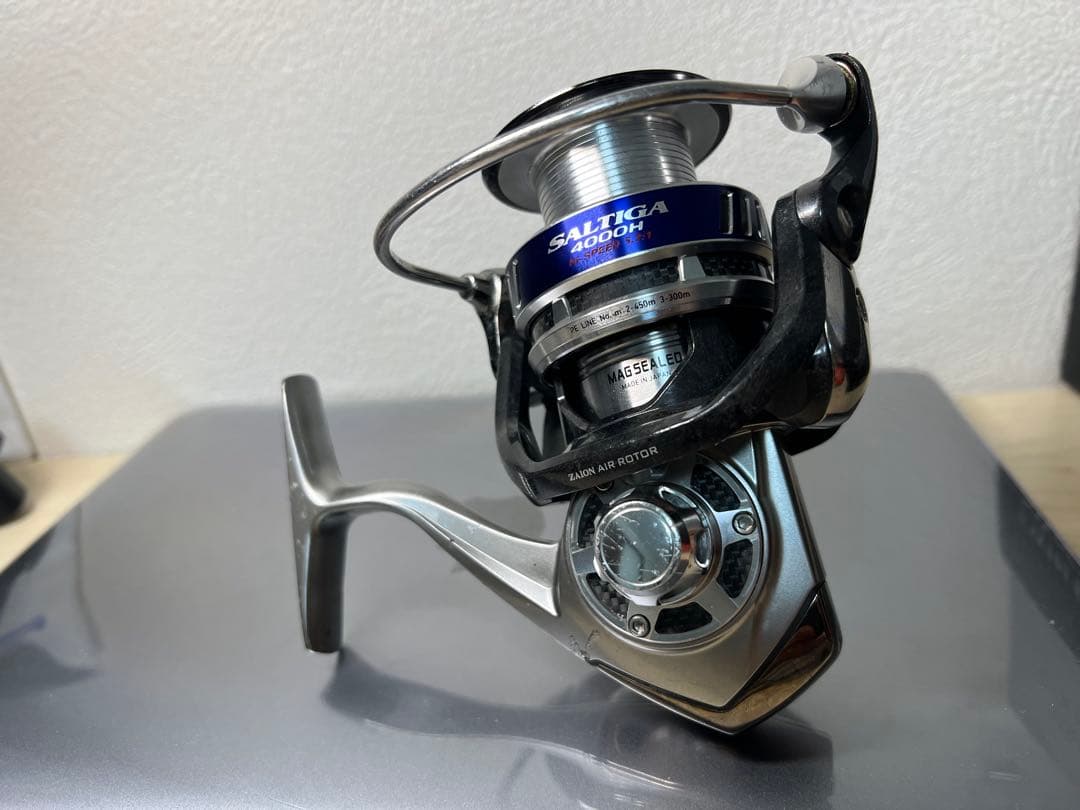 リール 10 Saltiga 4000H