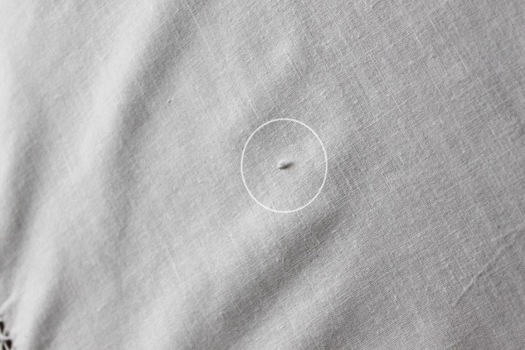 ミモザのテーブルクロス