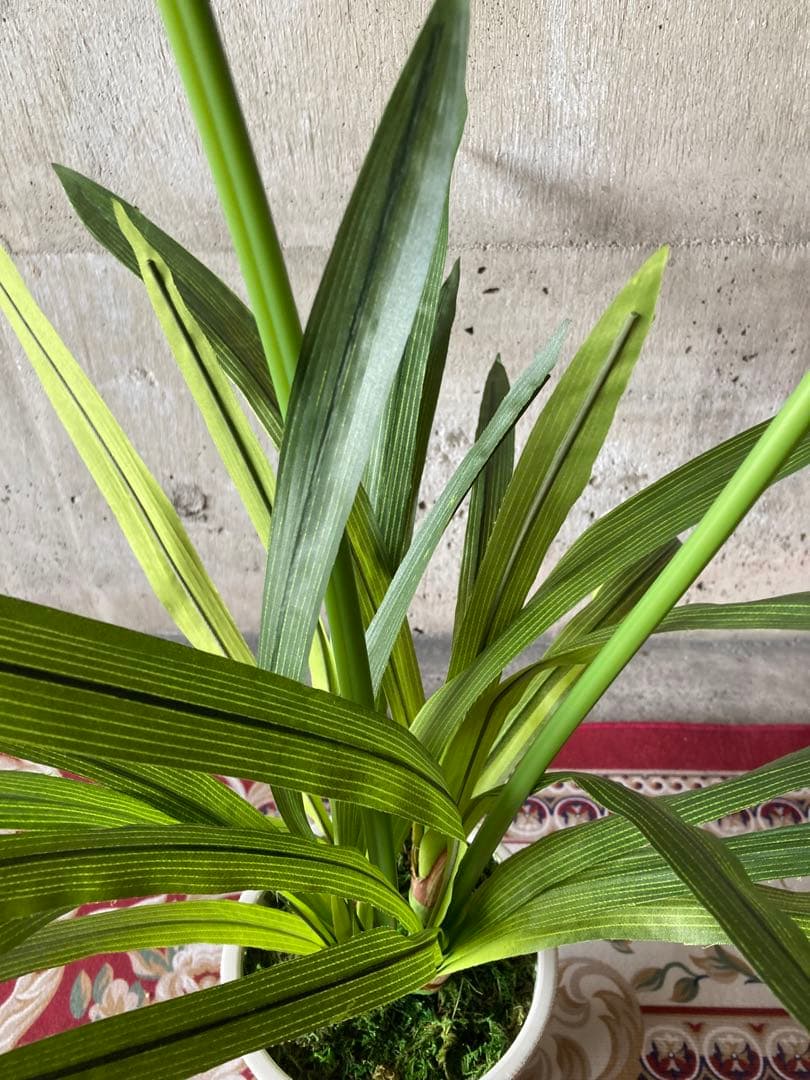 光触媒　人工観葉植物　ウォールグリーン　フェイクグリーン　ドラセナユッカ花付き