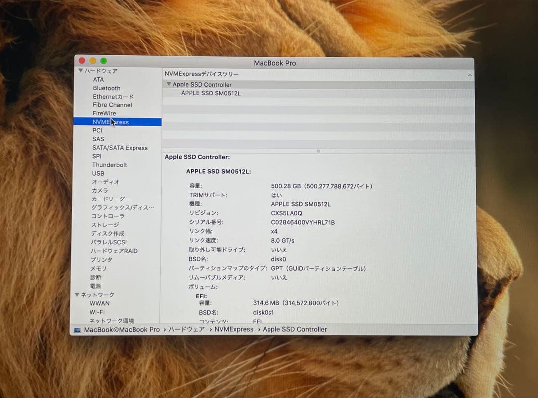 美品　MacBook Pro Retina 15インチ　バッテリー100%