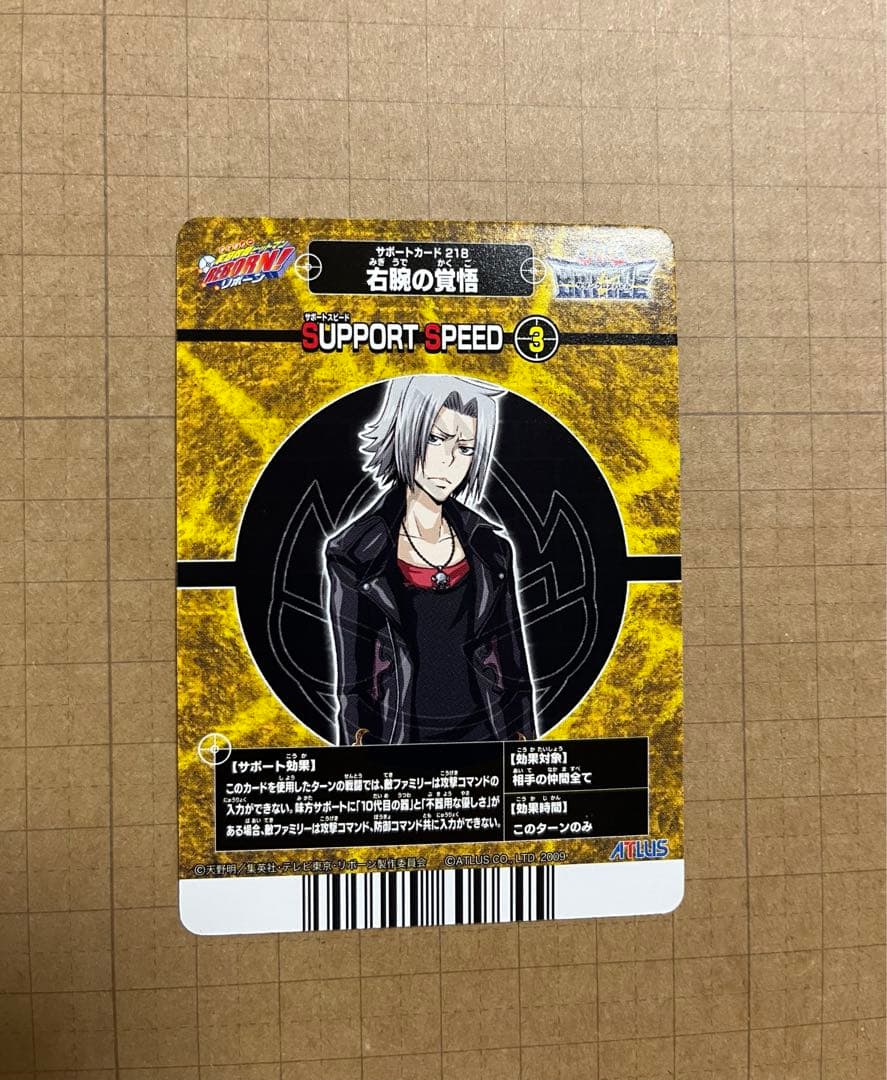 REBORN! サザンクロスバトル 獄寺