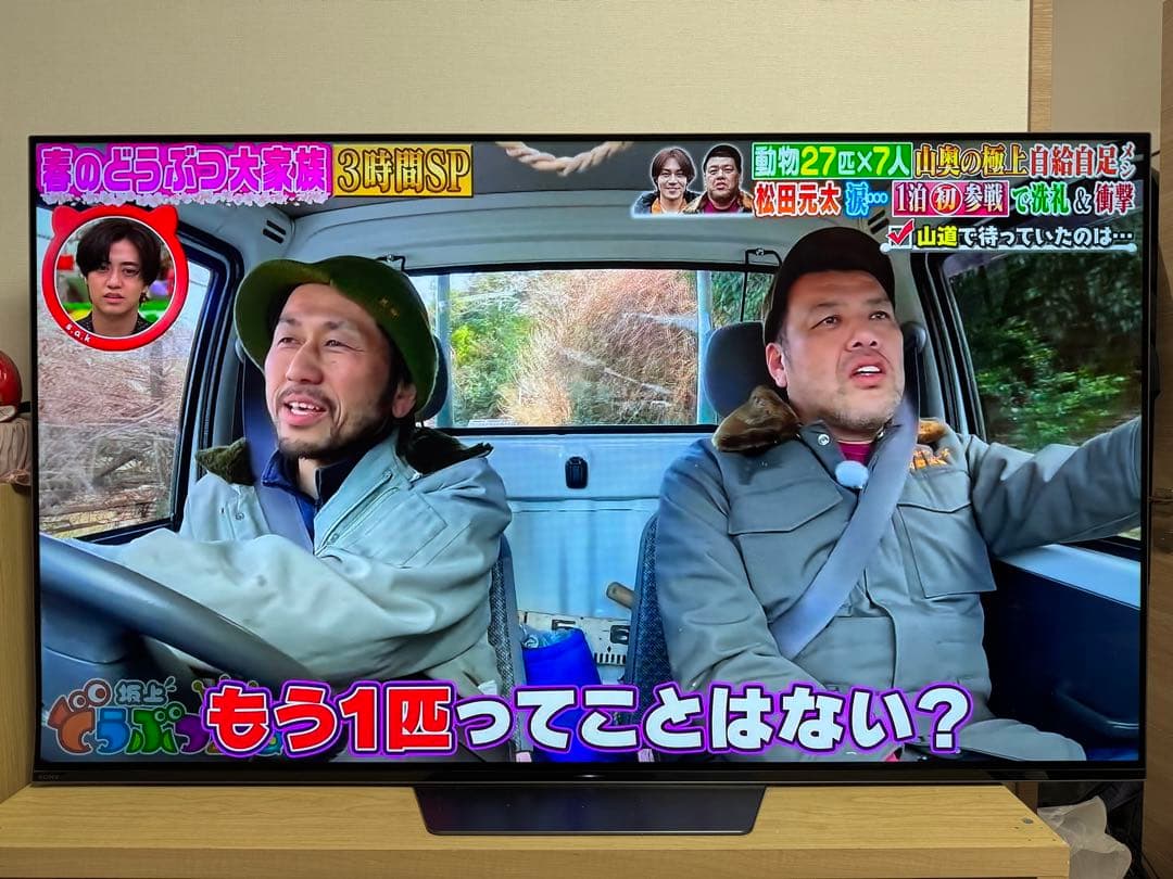 SONY　4K有機ELテレビ　55型　KJ-55A8F　2018年製　東京