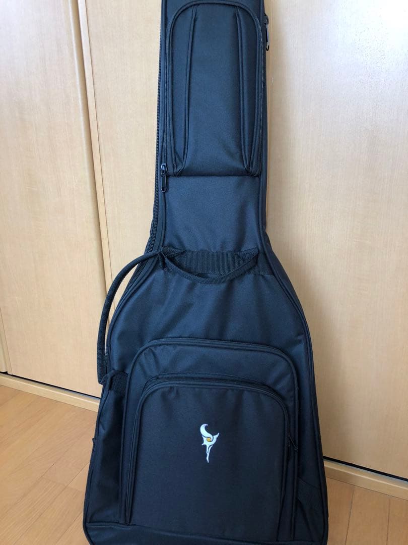 DCT DR-742E エレクトリックアコースティックギター 新品弦+ケース付き