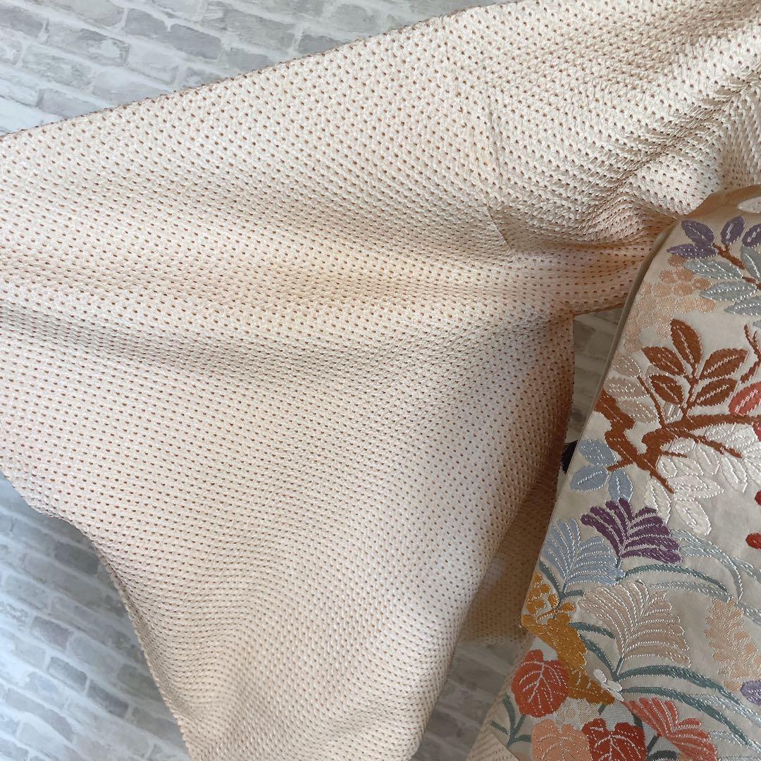 訪問着　フルセット　葉　絞り　着物　付け下げ　P1