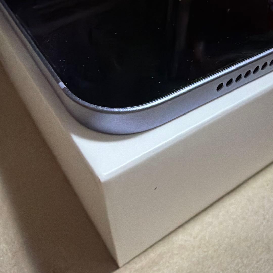 Apple iPad mini (第6世代) 256GB セルラー