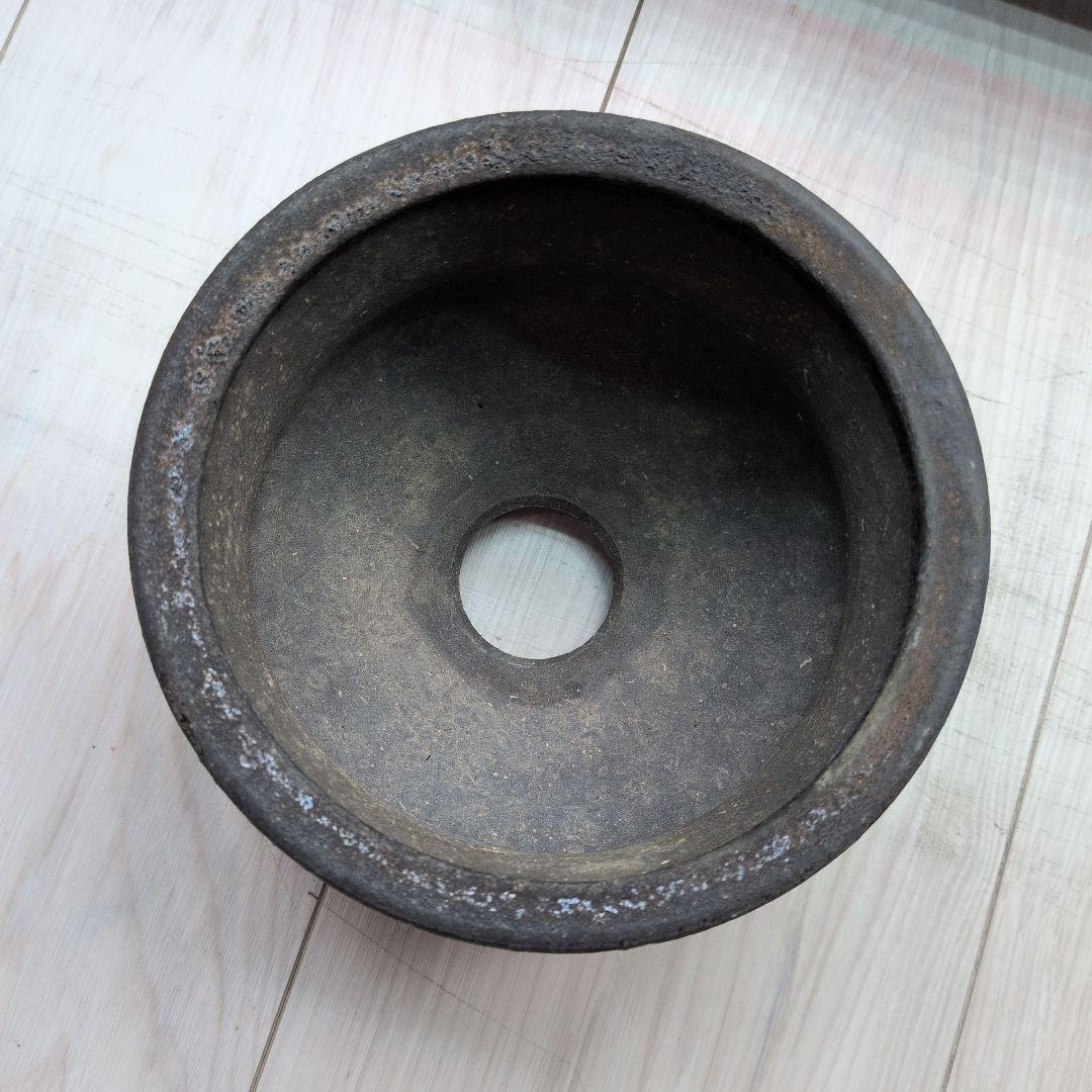 陶器鉢　グラキリス等　塊根植物に最適