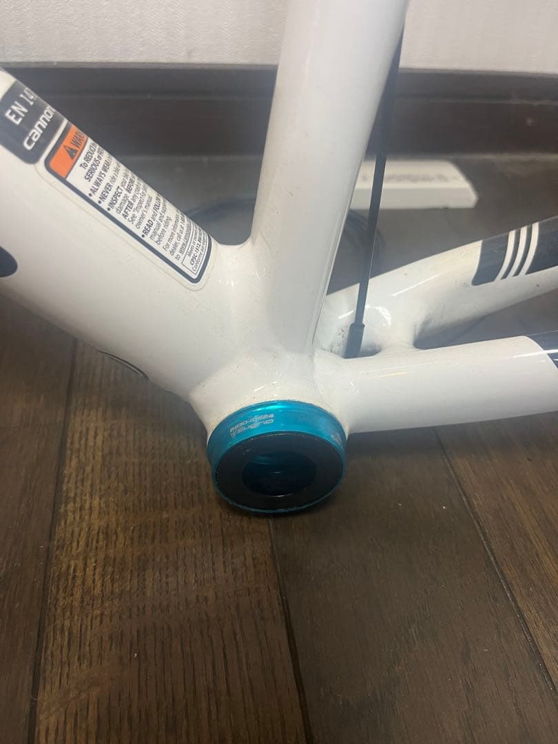 キャノンデール CAAD10 フレームセット 50