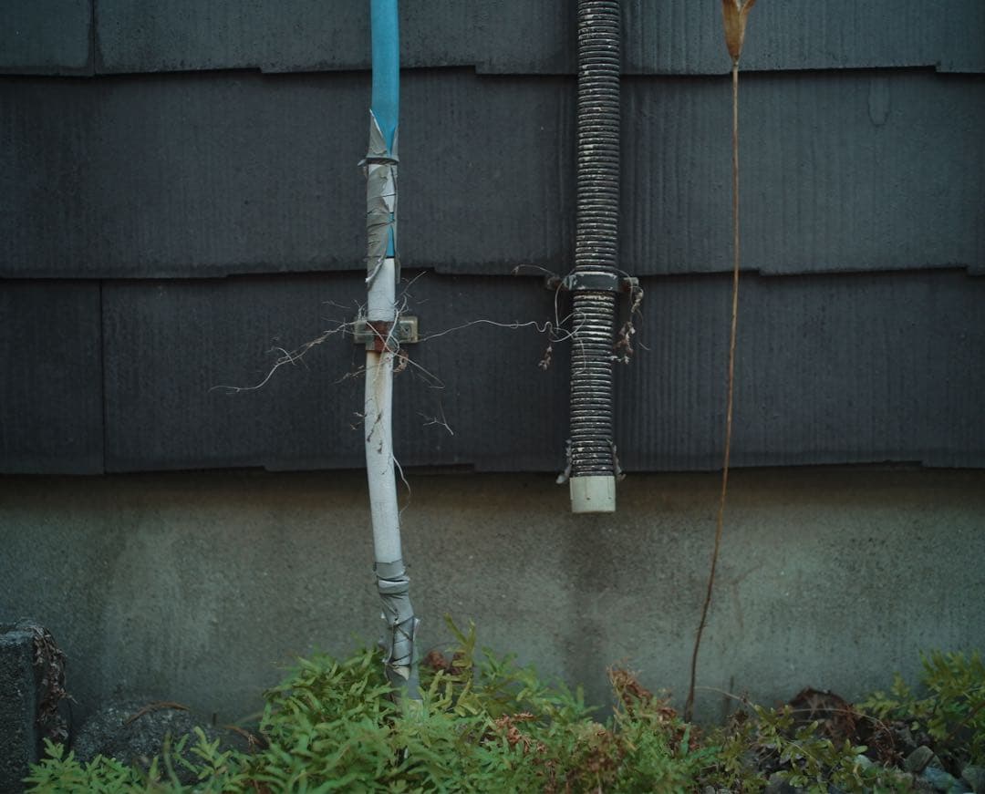 SIGMA fp + 8mm film風 + TTartisan 50mm f2