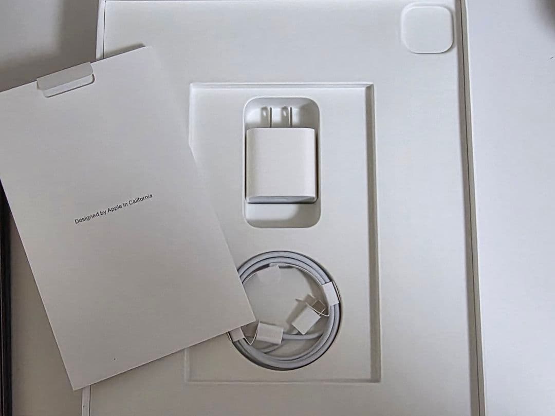 第5世代iPad pro 12.9 256GB Apple Pencil付き